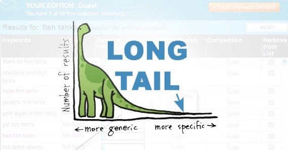 Long Tail