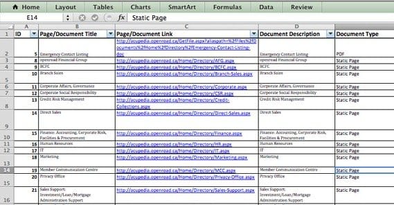 Site Audit Excel Pages
