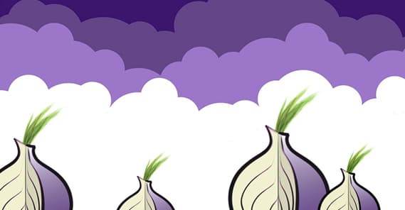 Tor Illustration