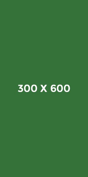300 x 600